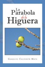 La Parabola de La Higuera