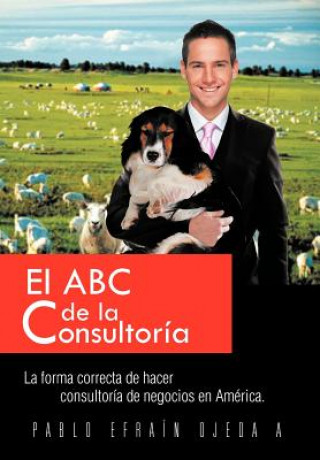 ABC de La Consultoria