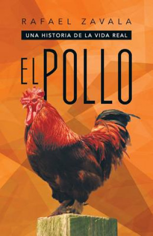 Pollo