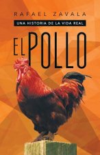 Pollo