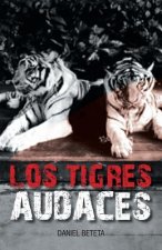 Tigres Audaces