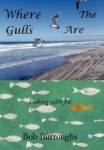 Where the Gulls Are