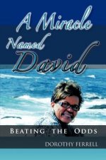 Miracle Named David
