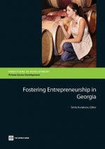 Fostering entrepreneurship in Georgia