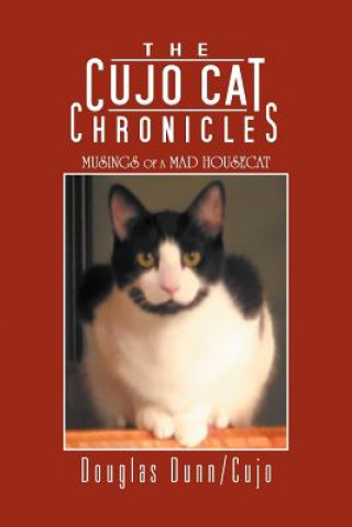 Cujo Cat Chronicles