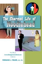 Charmed Life of Noodlehead