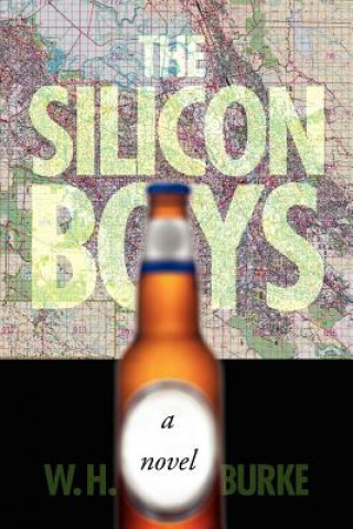 Silicon Boys