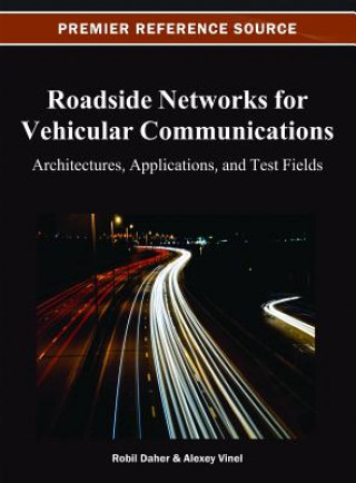 Roadside Networks for Vehicular Communications