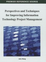 Perspectives and Techniques for Improving Information Technology Project Management