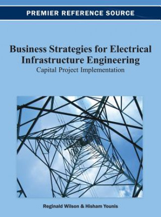 Business Strategies for Electrical Infrastructure Engineering