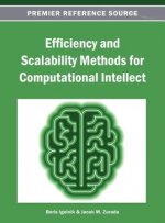 Efficiency and Scalability Methods for Computational Intellect