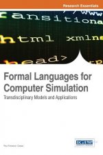 Formal Languages for Computer Simulation