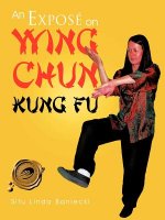 Expose on Wing Chun Kung Fu