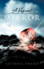 Vagrant Mirror