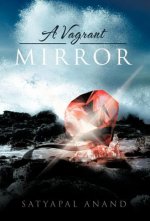 Vagrant Mirror