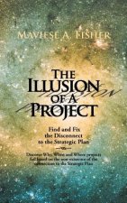 Illusion of a Project