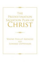 Predestination Salvation Plan of Christ