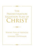 Predestination Salvation Plan of Christ