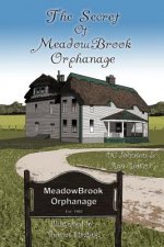 Secret of Meadowbrook Orphanage