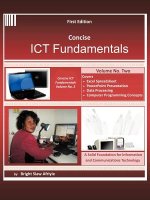 Concise Ict Fundamentals Volume Two