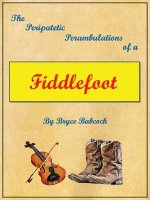 Peripatetic Perambulations of a Fiddlefoot