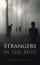 Strangers in the Mist