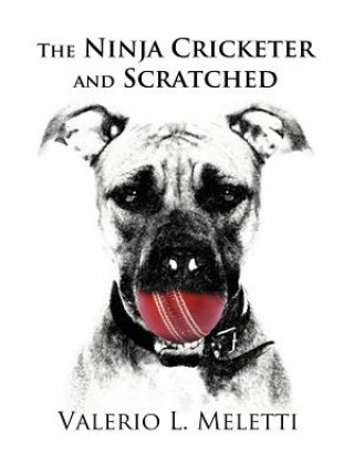 Ninja Cricketer and Scratched