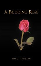 Budding Rose