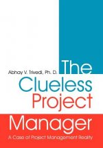 Clueless Project Manager