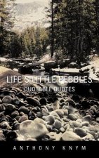 Life's Little Pebbles