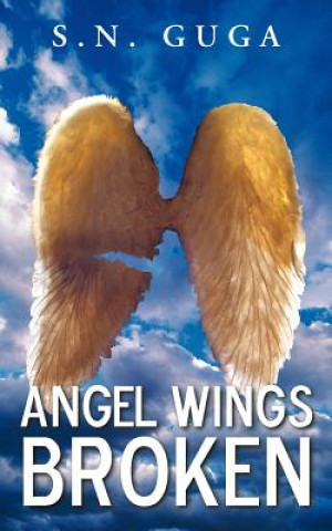 Angel Wings Broken