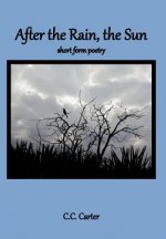After the Rain, the Sun