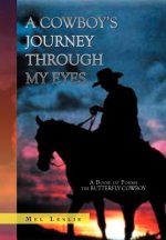 Cowboy's Journey Through My Eyes