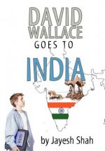 David Wallace Goes to India