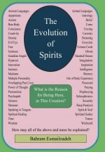 Evolution Of Spirits