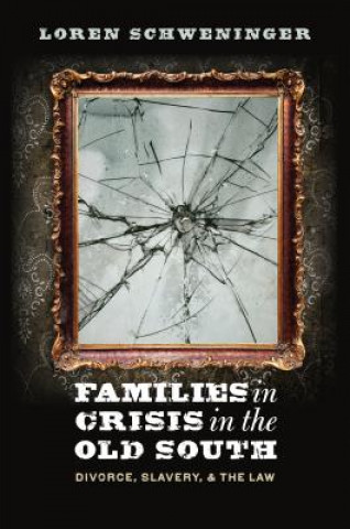 Families in Crisis in the Old South