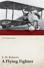 Flying Fighter - An American Above the Lines in France (Wwi Centenary Series)
