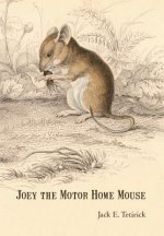 Joey the Motor Home Mouse