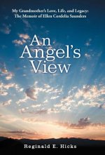 Angel's View