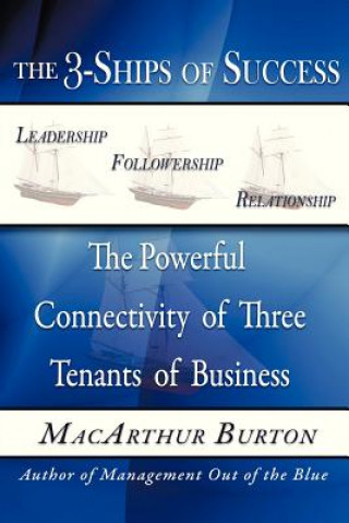 3-Ships of Success