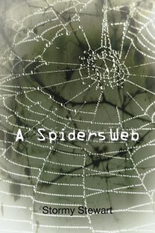 Spiders Web