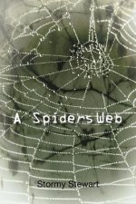 Spiders Web
