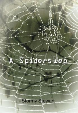 Spiders Web