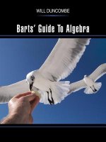 Barts' Guide To Algebra