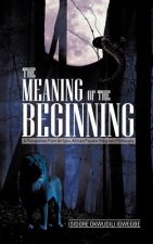 Meaning of the Beginning