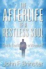 Afterlife of a Restless Soul