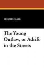 Young Outlaw, or Adrift in the Streets