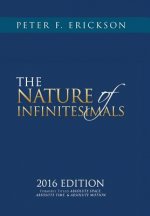 NATURE of INFINITESIMALS