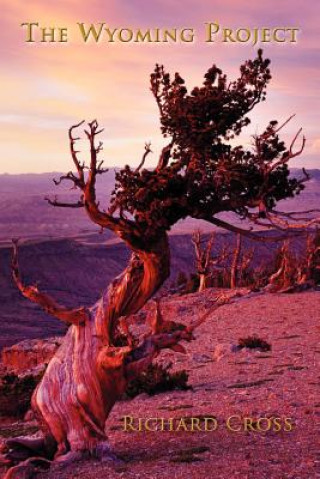 Wyoming Project