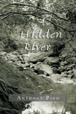 Hidden River